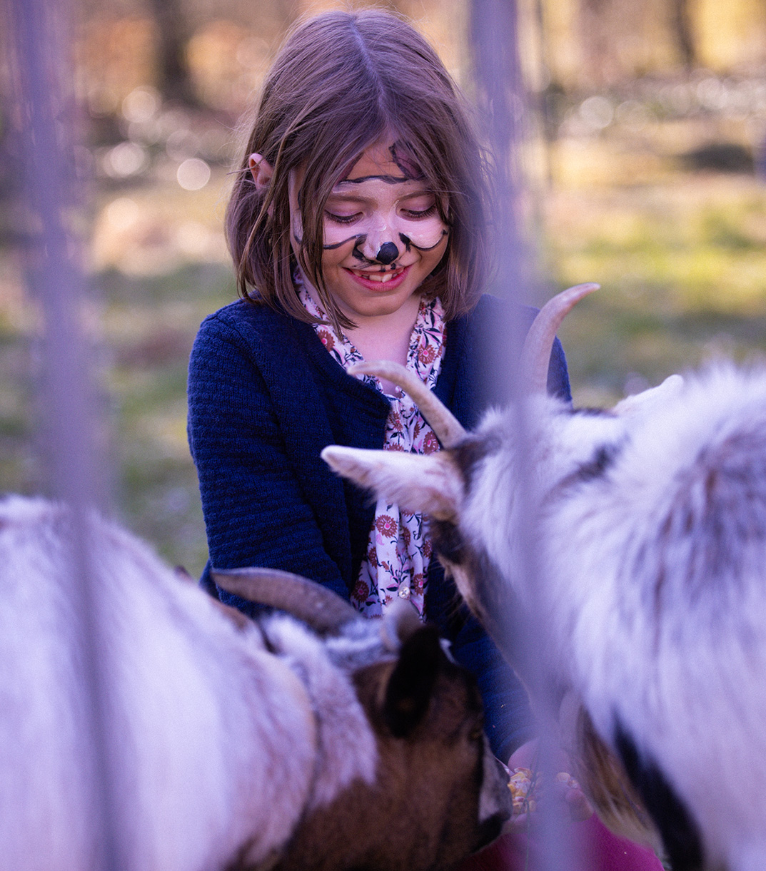 shooting-photo-scolaire-printemps-fouquieres-les-bethune-chevres