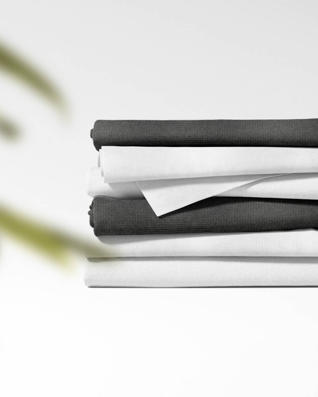 Packshot-de-produits-serviettes-biodégradable